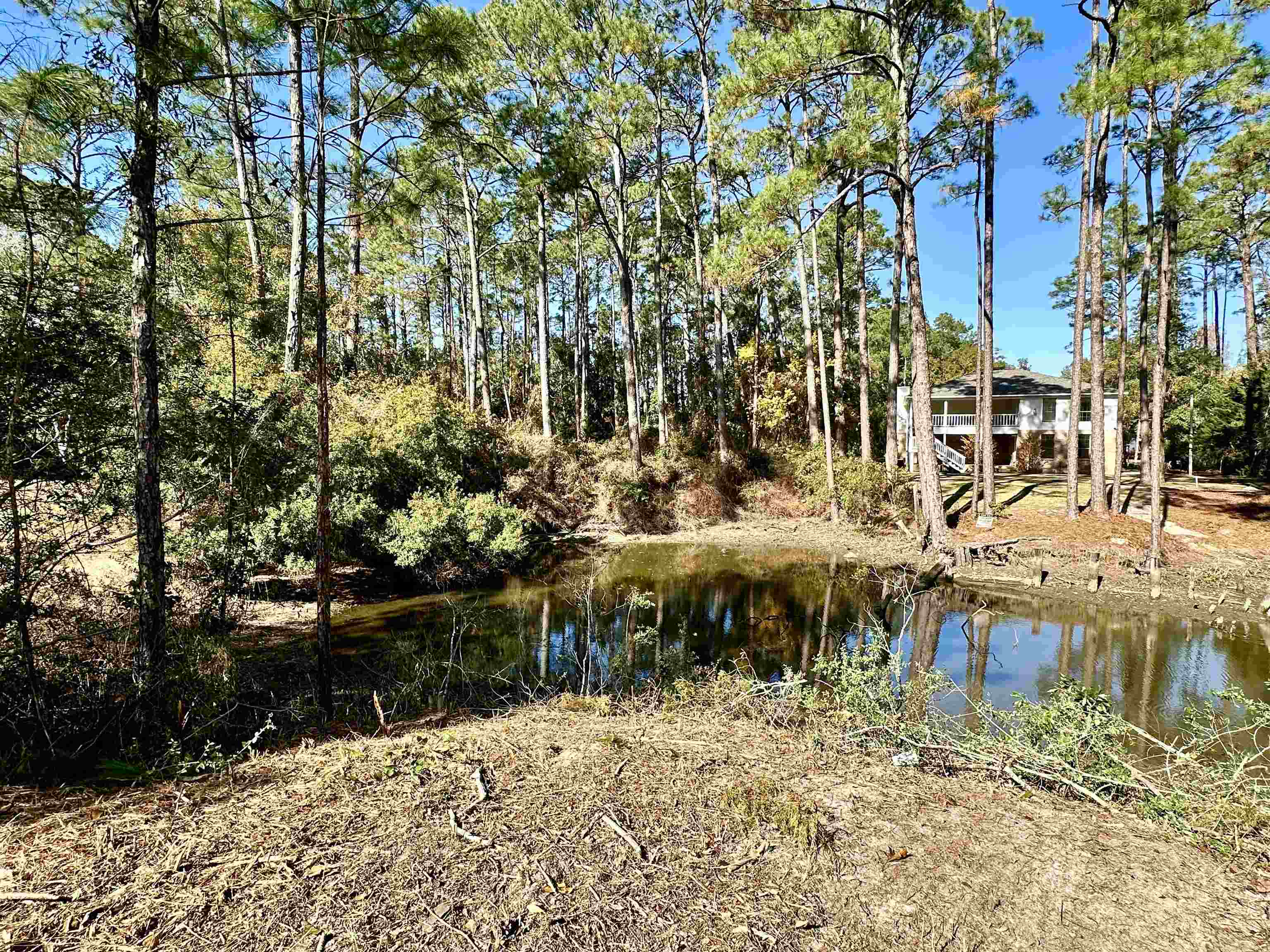 40707 Canal Circle Fairhope, AL 36532 - Photo 3 of 10 View