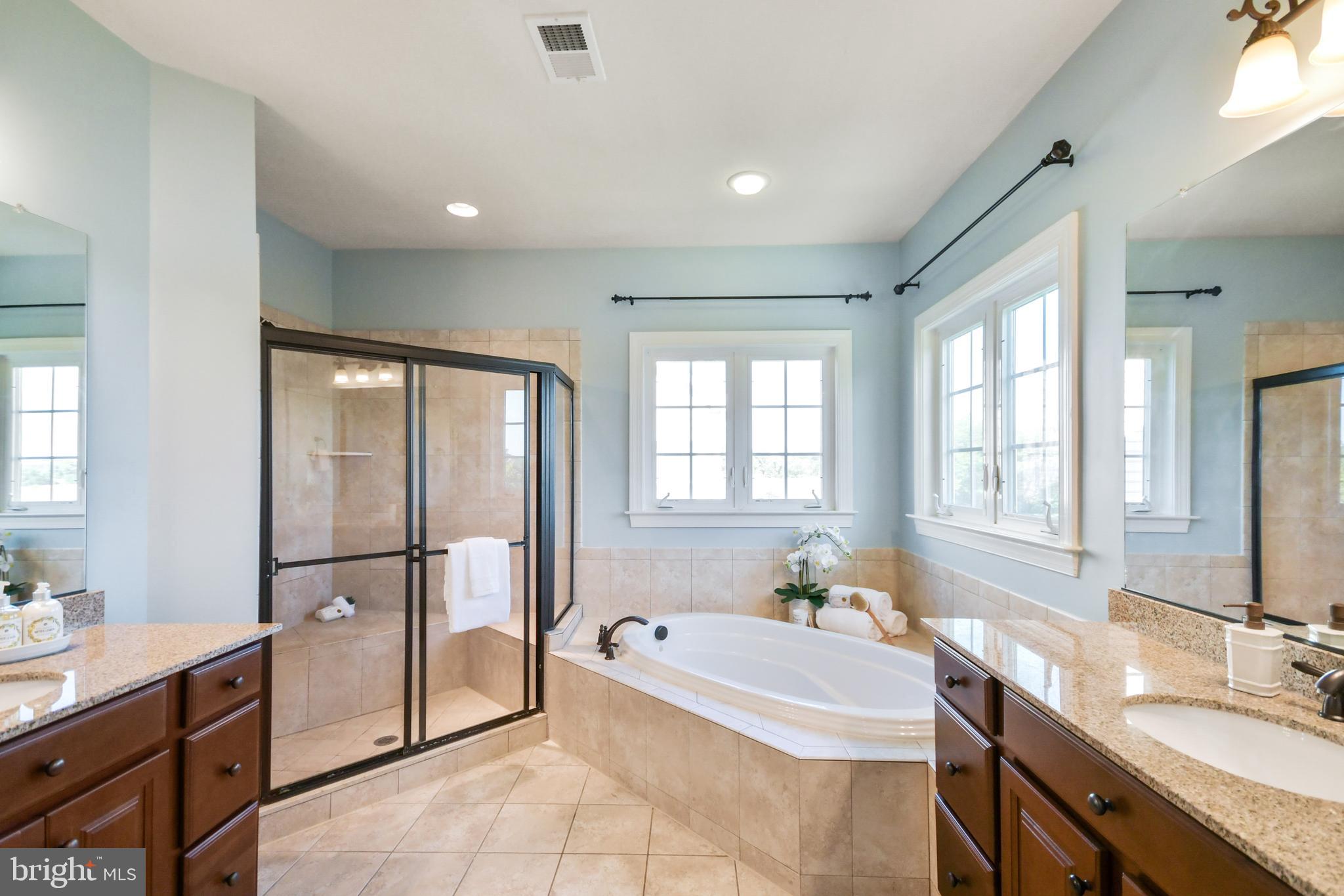 9168 Bealls Farm Road Frederick, MD 21704 - Photo 7 of 88 Large primary bathroom