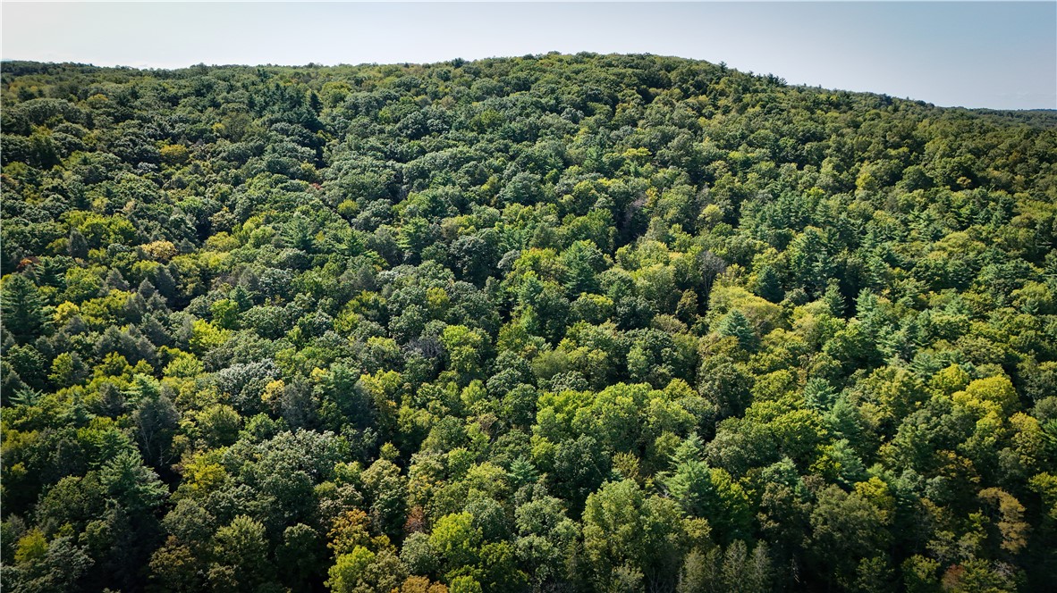 0 Worden Road Waverly, NY 14892 - Photo 16 of 42