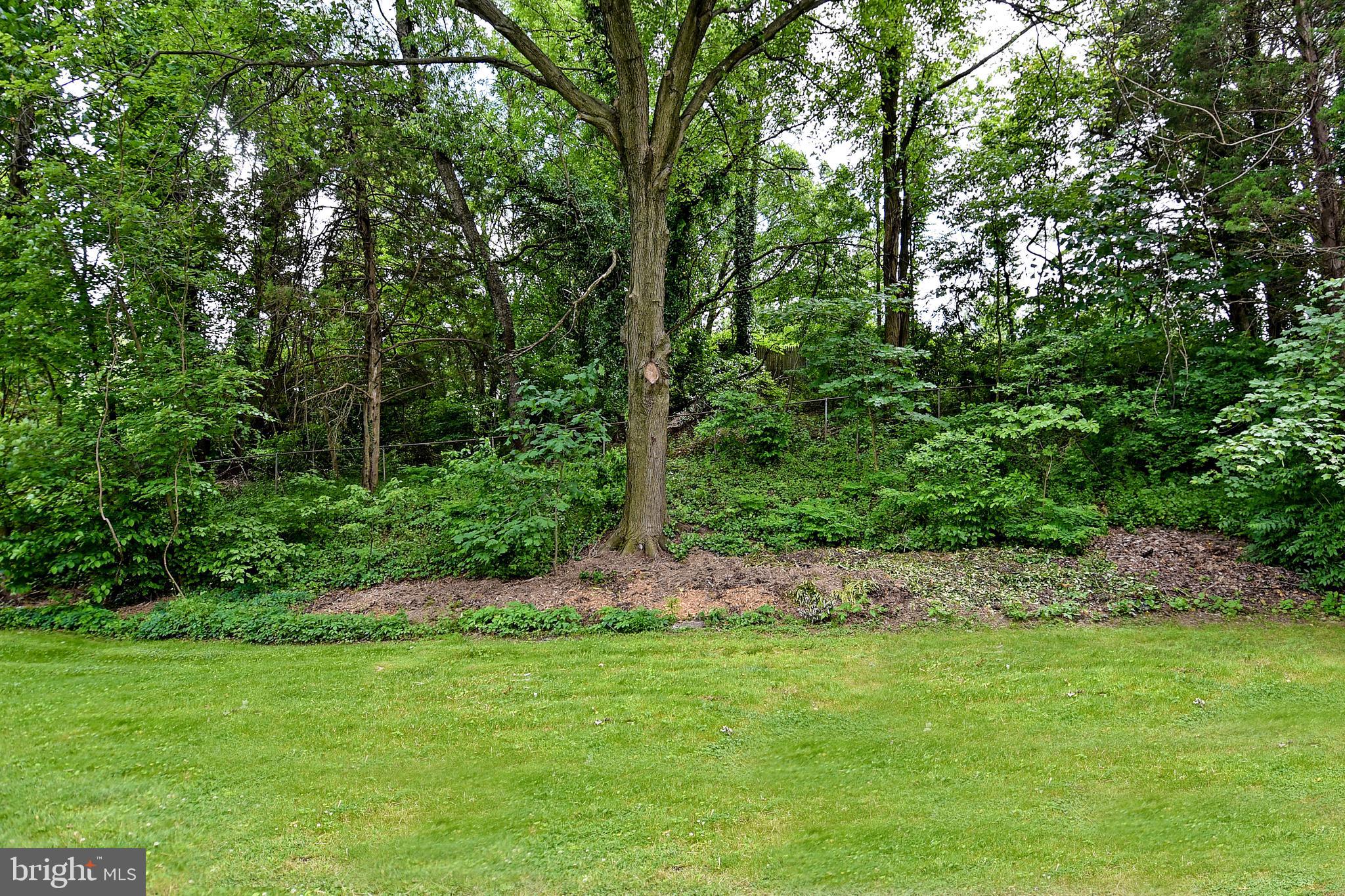 1005 Kathryn Road Silver Spring, MD 20904 - Photo 40 of 40 BACKYARD VIEW OF WOODS