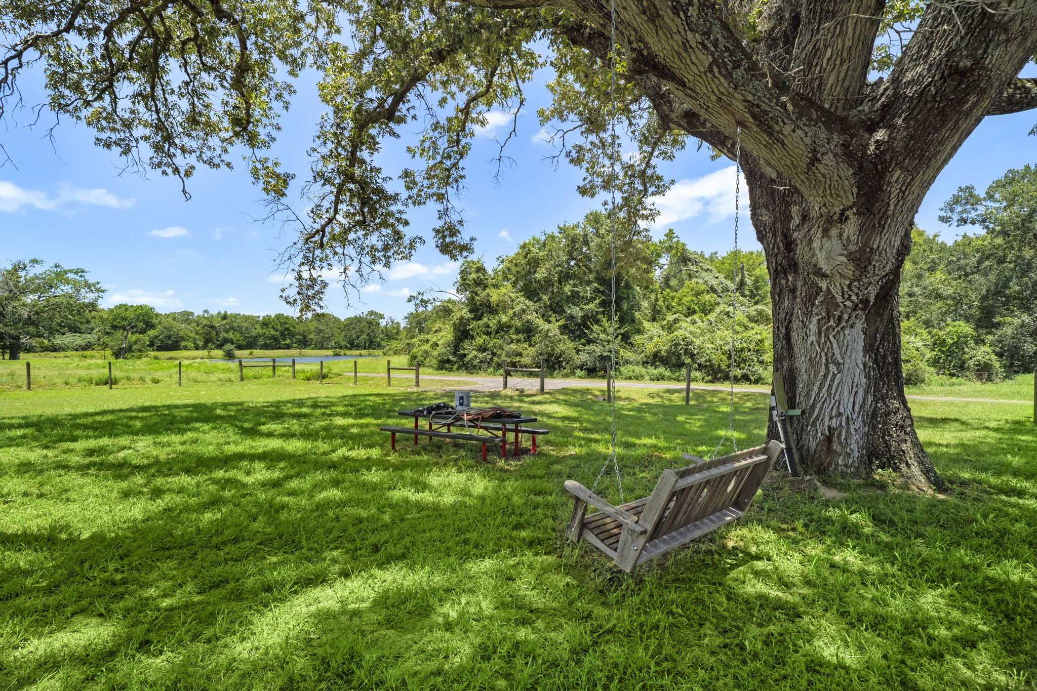 35111 Tompkins Road Hempstead, TX 77445 - Photo 36 of 50 a view of a garden with a tree