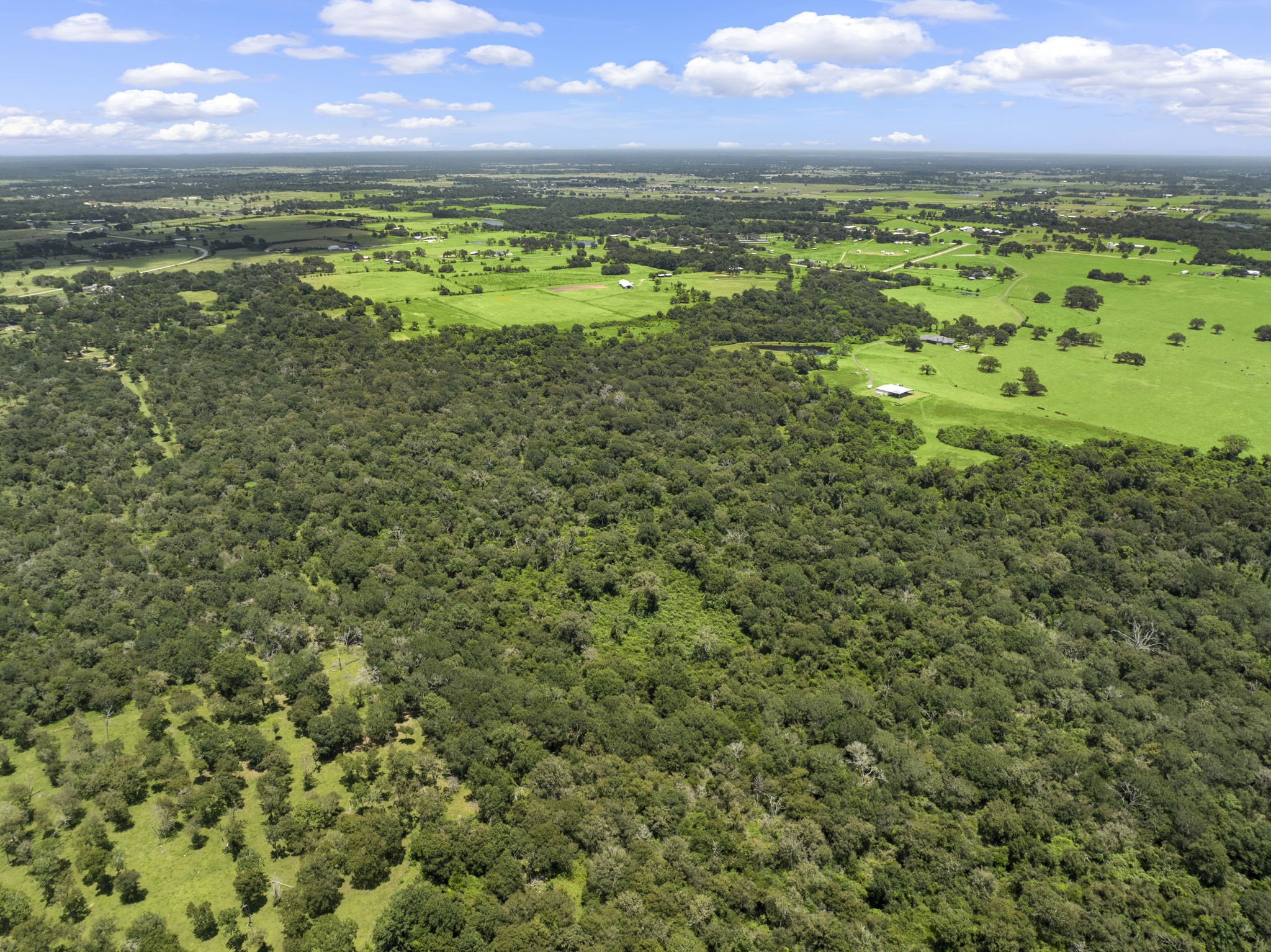 35111 Tompkins Road Hempstead, TX 77445 - Photo 42 of 50 a view of a yard with an outdoor space