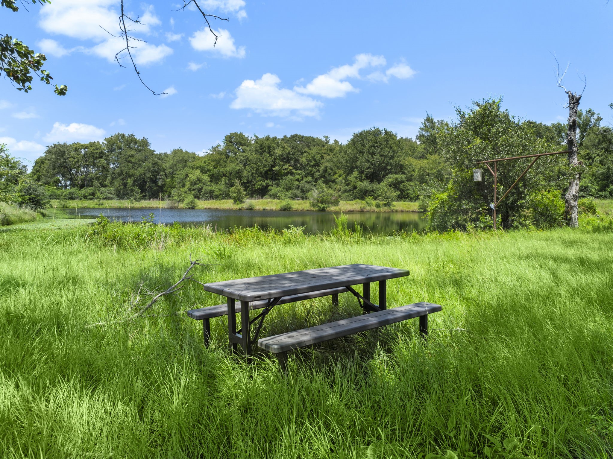 35111 Tompkins Road Hempstead, TX 77445 - Photo 44 of 50 a view of a lake with a yard