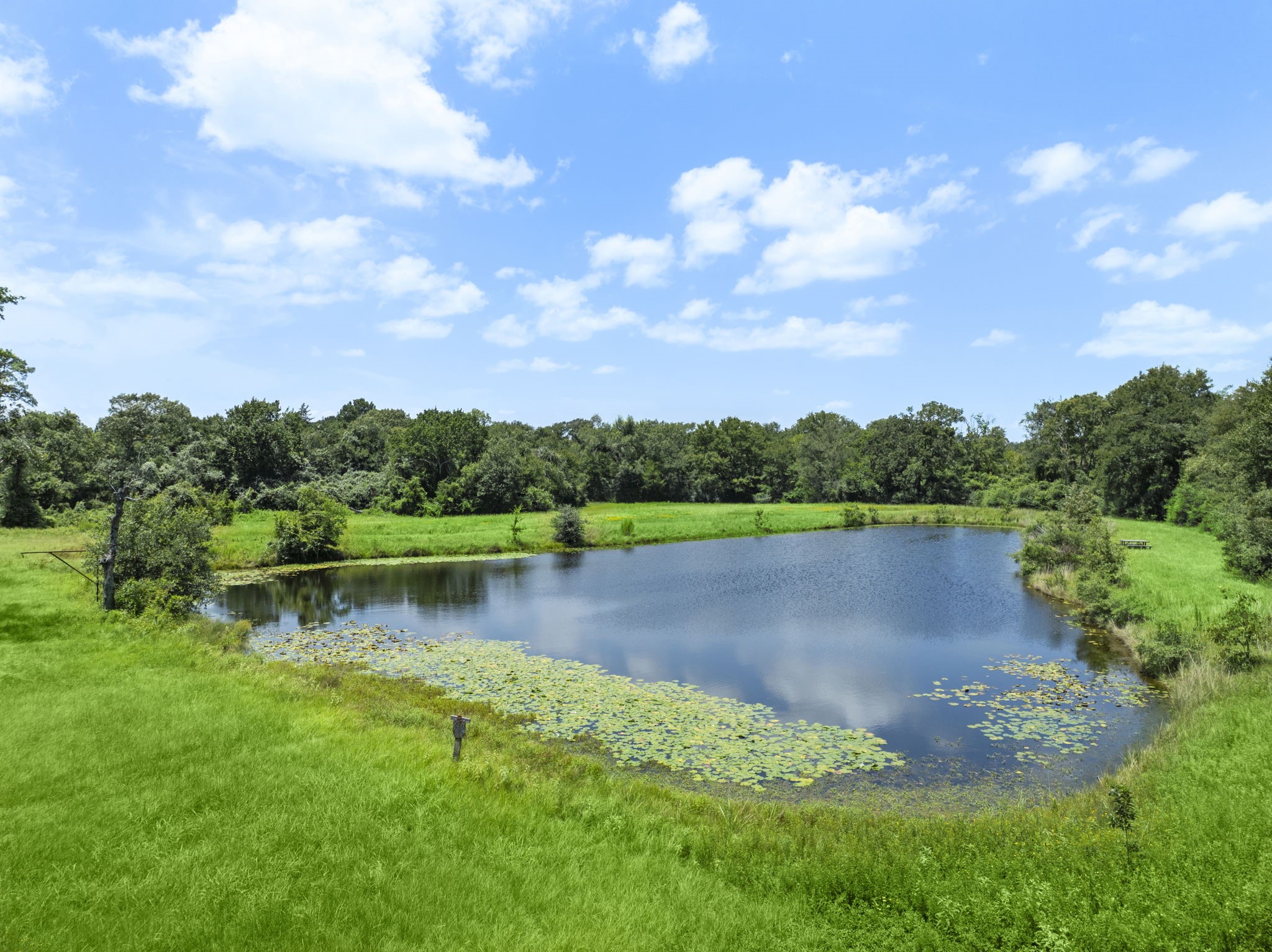 35111 Tompkins Road Hempstead, TX 77445 - Photo 6 of 50 a view of a lake with green space