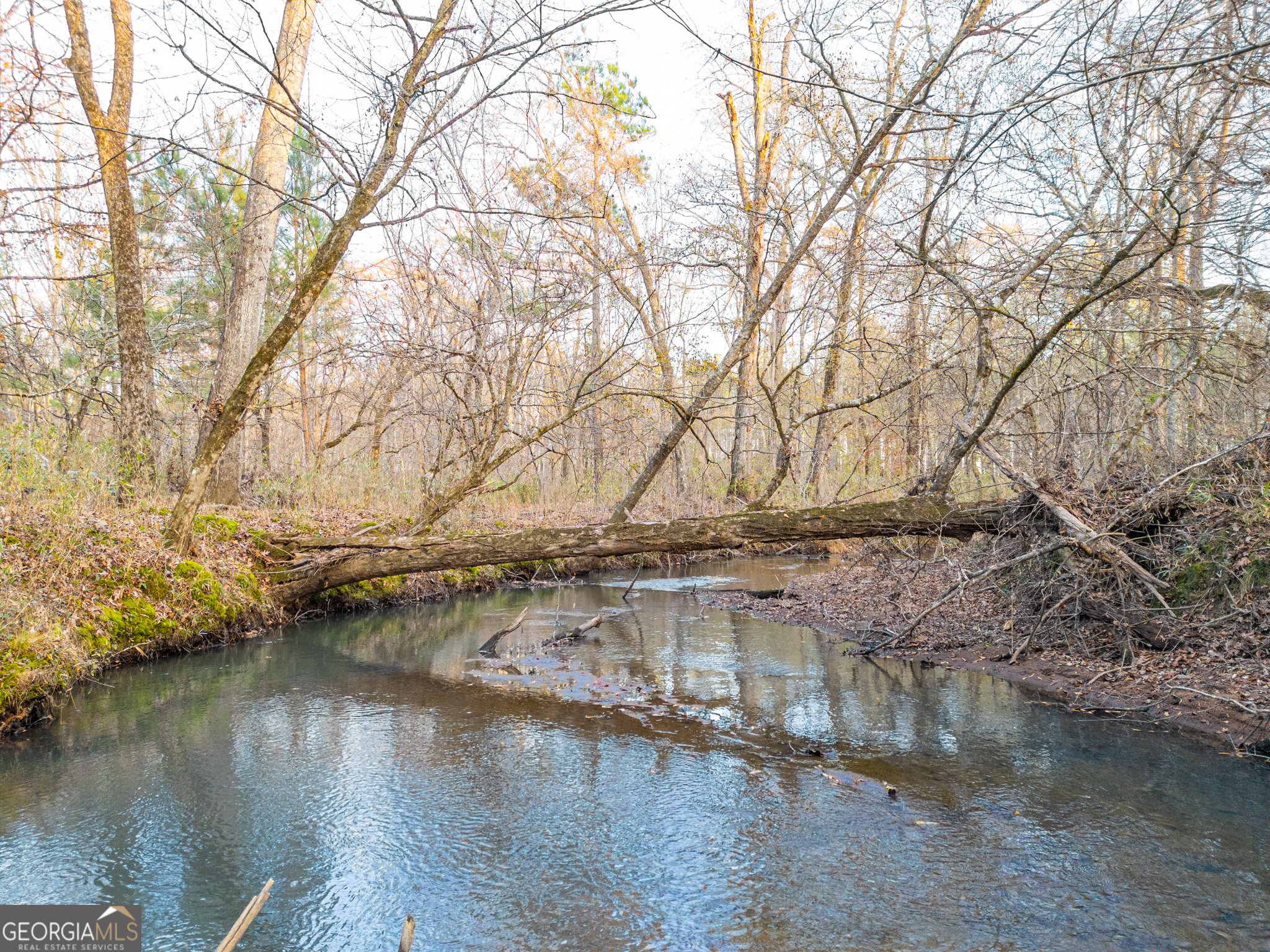 3 Smith Rocky Branch Road Carlton, GA 30627 - Photo 10 of 13
