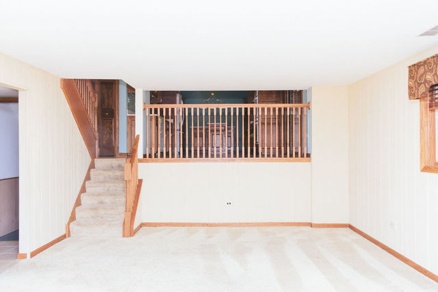 222 Vermont Road Frankfort, IL 60423 - Photo 22 of 47