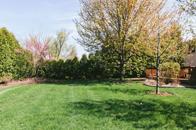 222 Vermont Road Frankfort, IL 60423 - Photo 45 of 47
