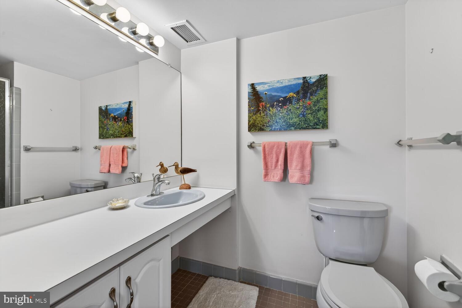 2100 Washington Avenue, Unit 6A Silver Spring, MD 20910 - Photo 12 of 16 a bathroom with a toilet sink and mirror