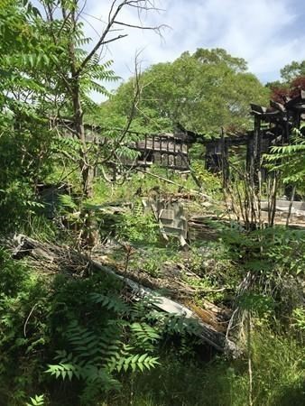 6 Back Street Wareham, MA 02558 - Photo 2 of 4 a view of a garden