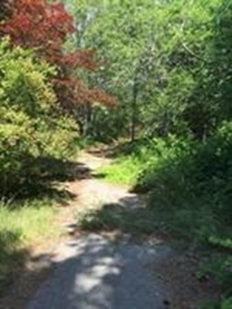 6 Back Street Wareham, MA 02558 - Photo 3 of 4 a view of a yard with a tree