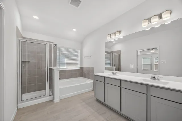 a bathroom with a tub a sink shower and mirror