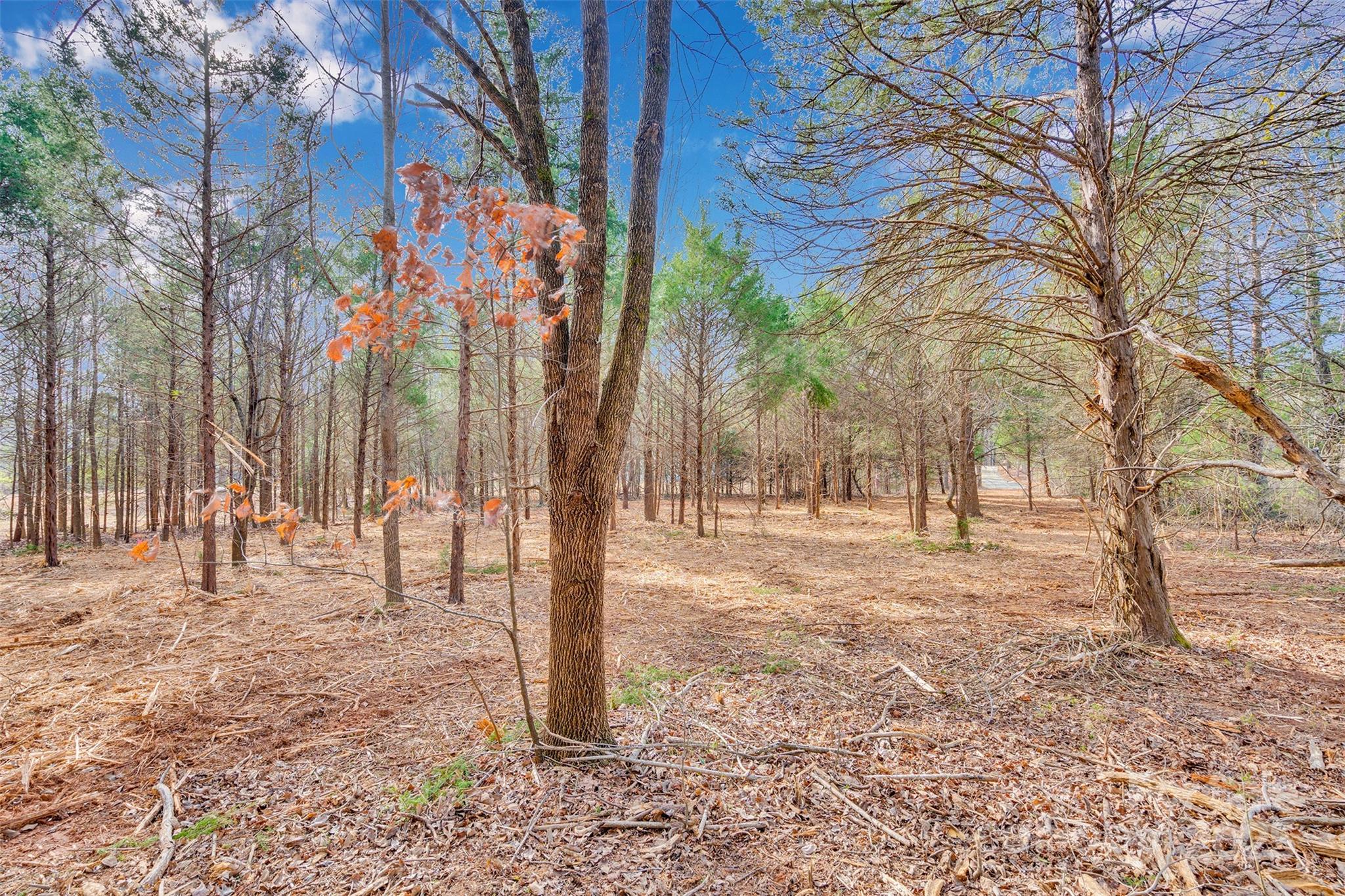 10712 Connell Road, Unit 3 Mint Hill, NC 28227 - Photo 6 of 16 Gallery Image 6