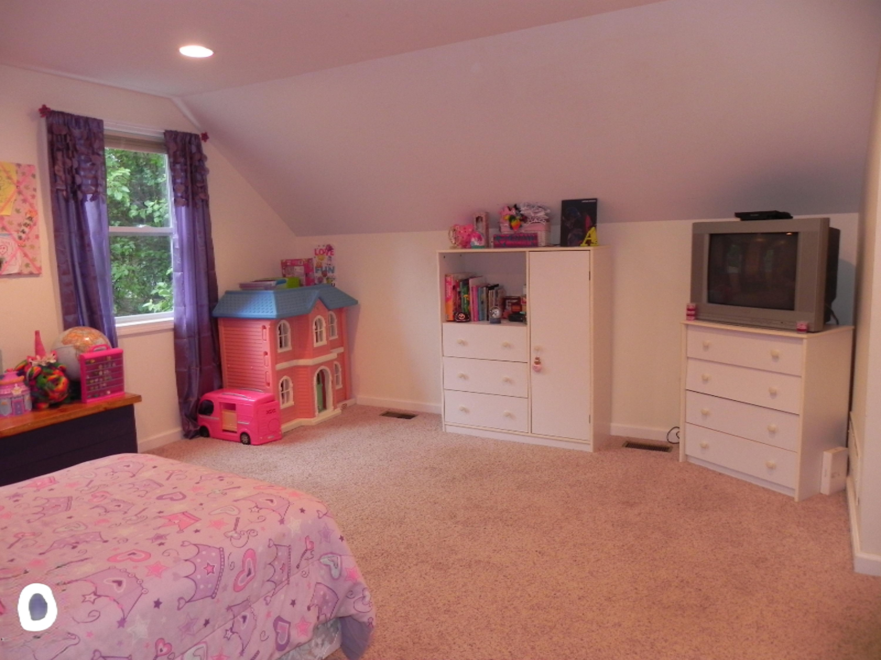 210 West Sherwood Street Decatur, MI 49045 - Photo 19 of 29 DSCN5234