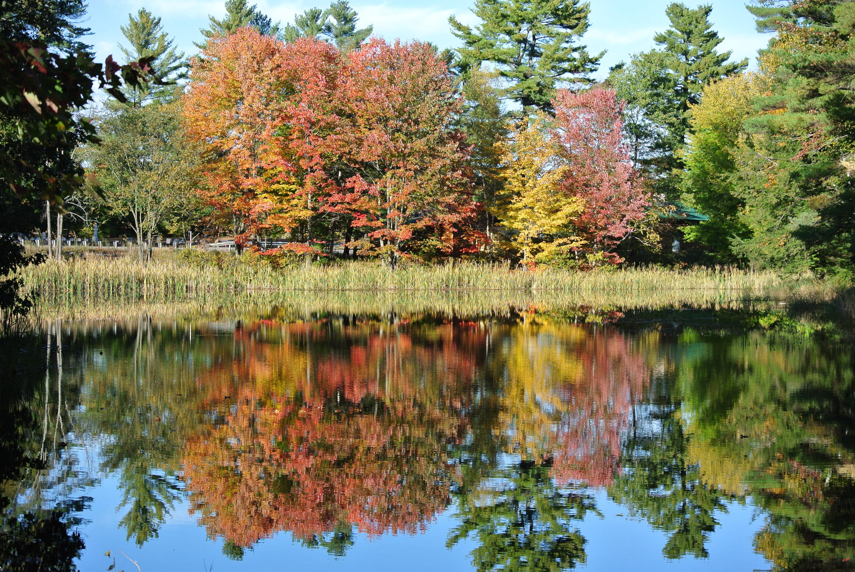 1612 Federal Road Livermore, ME 04253 - Photo 49 of 76 48. Beautiful Views