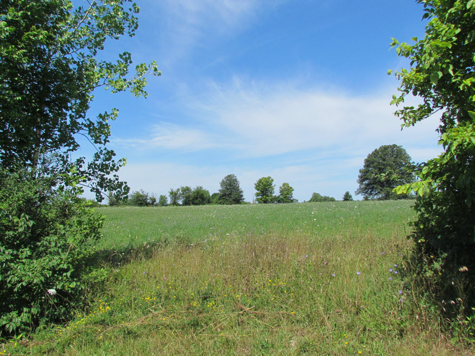 10571 Schenk Road Sidney, OH 45365 - Photo 28 of 75 Gallery Image 28