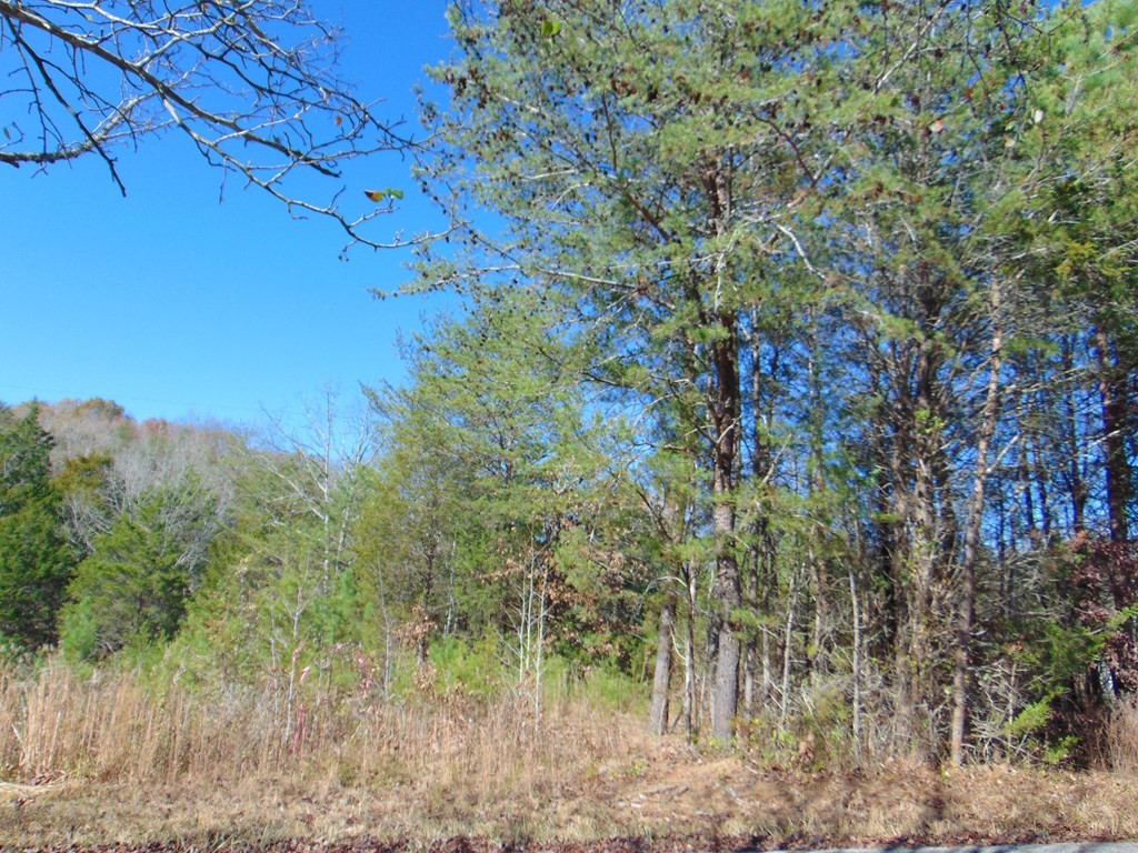 463 Co Road Englewood, TN 37329 - Photo 7 of 28