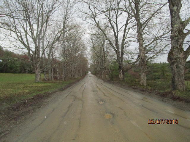 504 Coboro Road Stetson, ME 04488 - Photo 10 of 13 IMG_5604