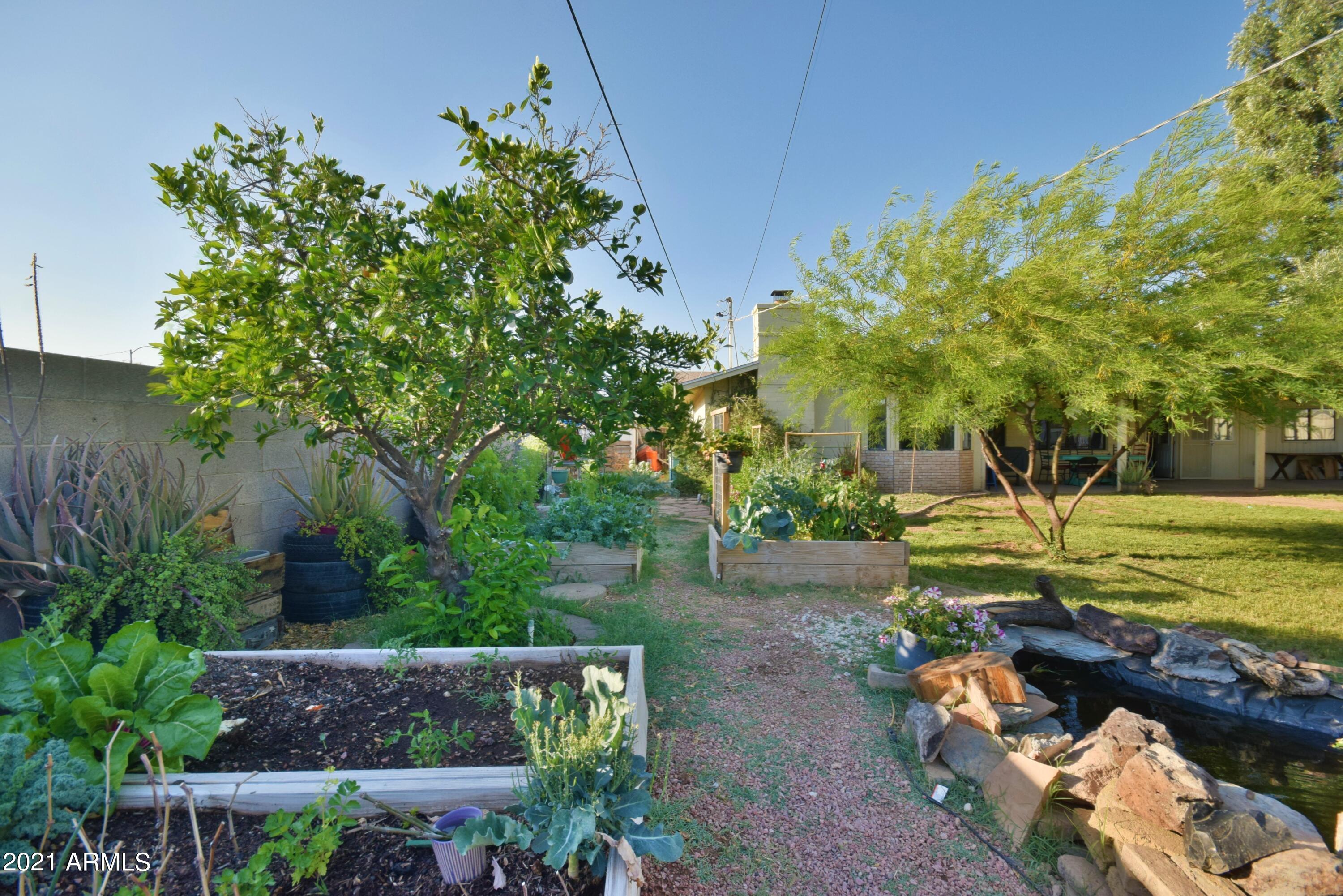 3105 East Bloomfield Road Phoenix, AZ 85032 - Photo 49 of 55 DSC_0832
