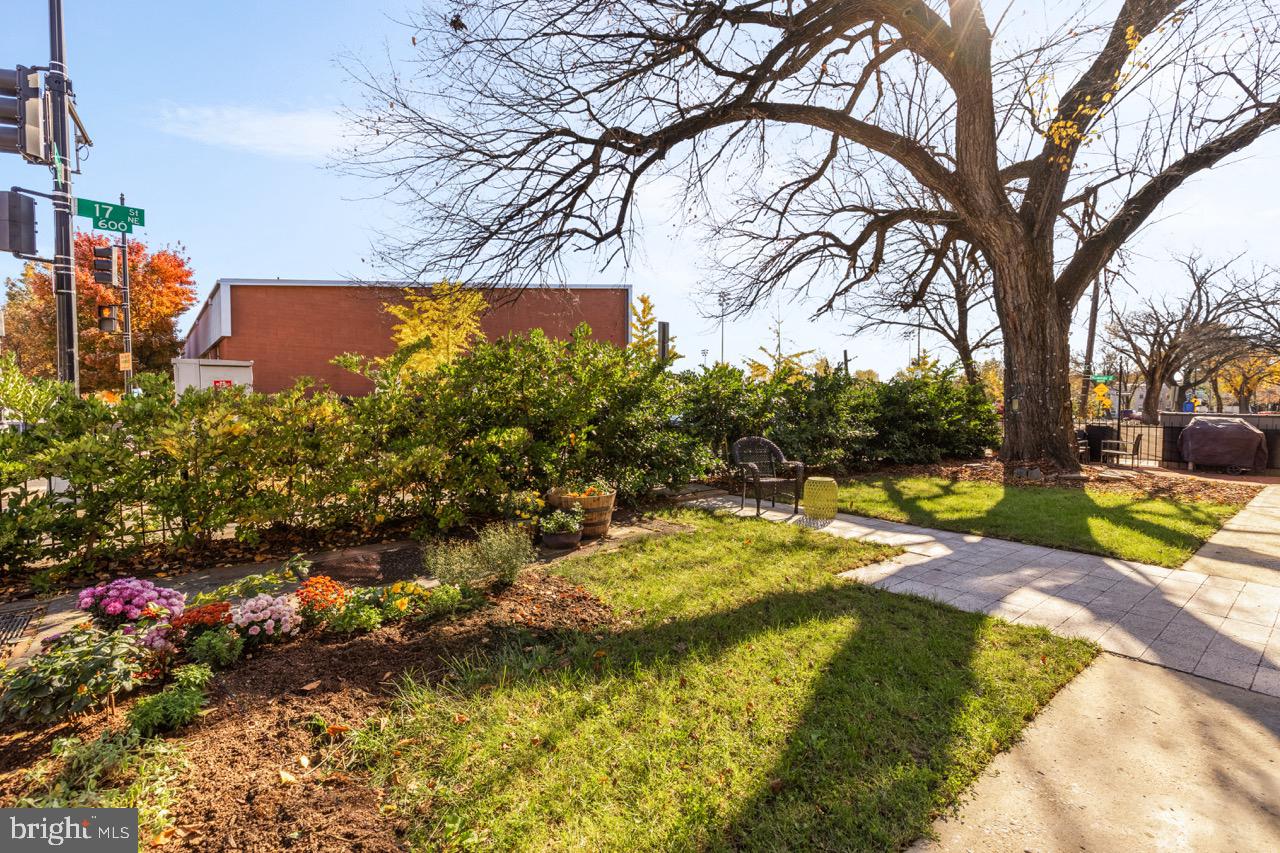 1671 Gales Street Northeast, Unit 1 Washington, DC 20002 - Photo 26 of 29 a view of swimming pool with an outdoor space and seating area