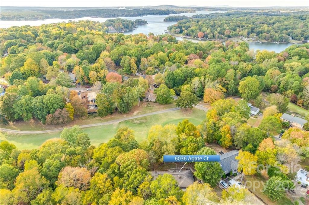 6036 Agate Court Tega Cay, SC 29708 - Photo 43 of 44 a view of lake view