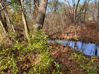 0 Gage Road Athol, MA 01331 - Photo 4 of 4 Gallery Image 4