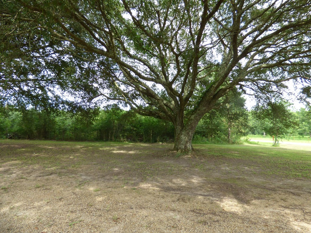 80-62 Old State Line Road Tylertown, MS 39667 - Photo 12 of 23 Photo 12