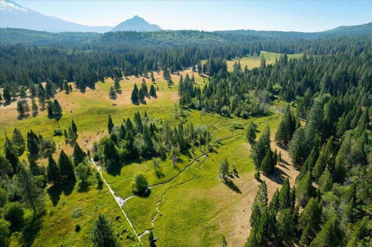 4140 Columbine Road Weed, CA 96094 - Photo 41 of 41 Gallery Image 41