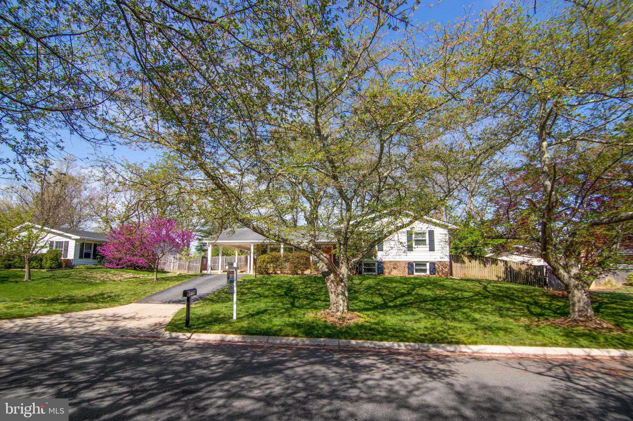 11324 Rambling Road Gaithersburg, MD 20879 - Photo 28 of 29 Street view
