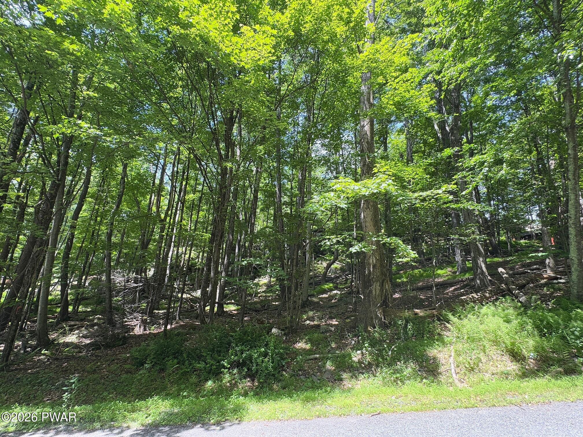 Lot 193 Cygnus Road Lake Ariel, PA 18436 - Photo 8 of 25