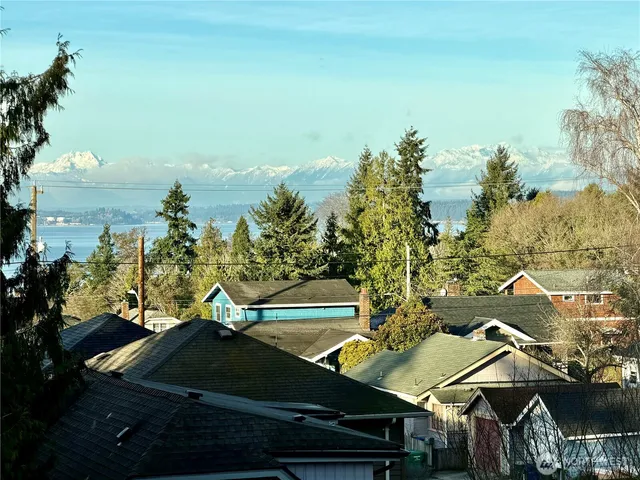 a view of a yard with plants