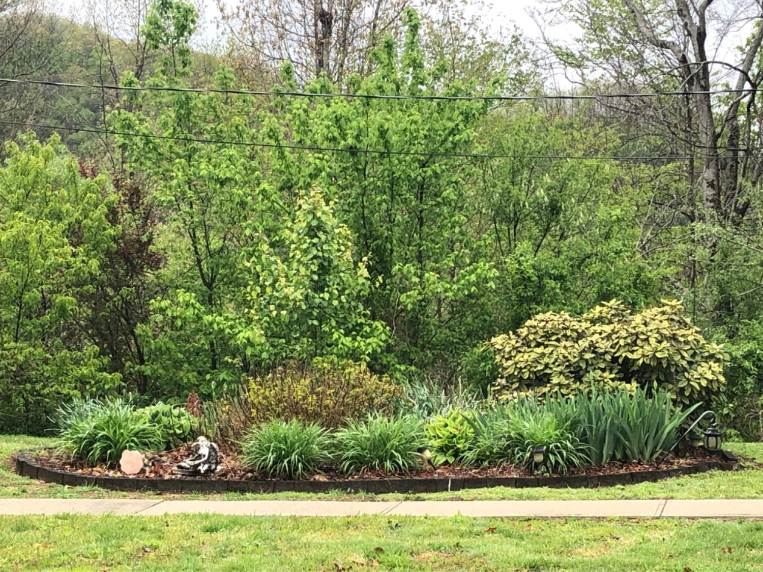 560 Kings Ridge Road Jackson, KY 41339 - Photo 26 of 27 Photo 26