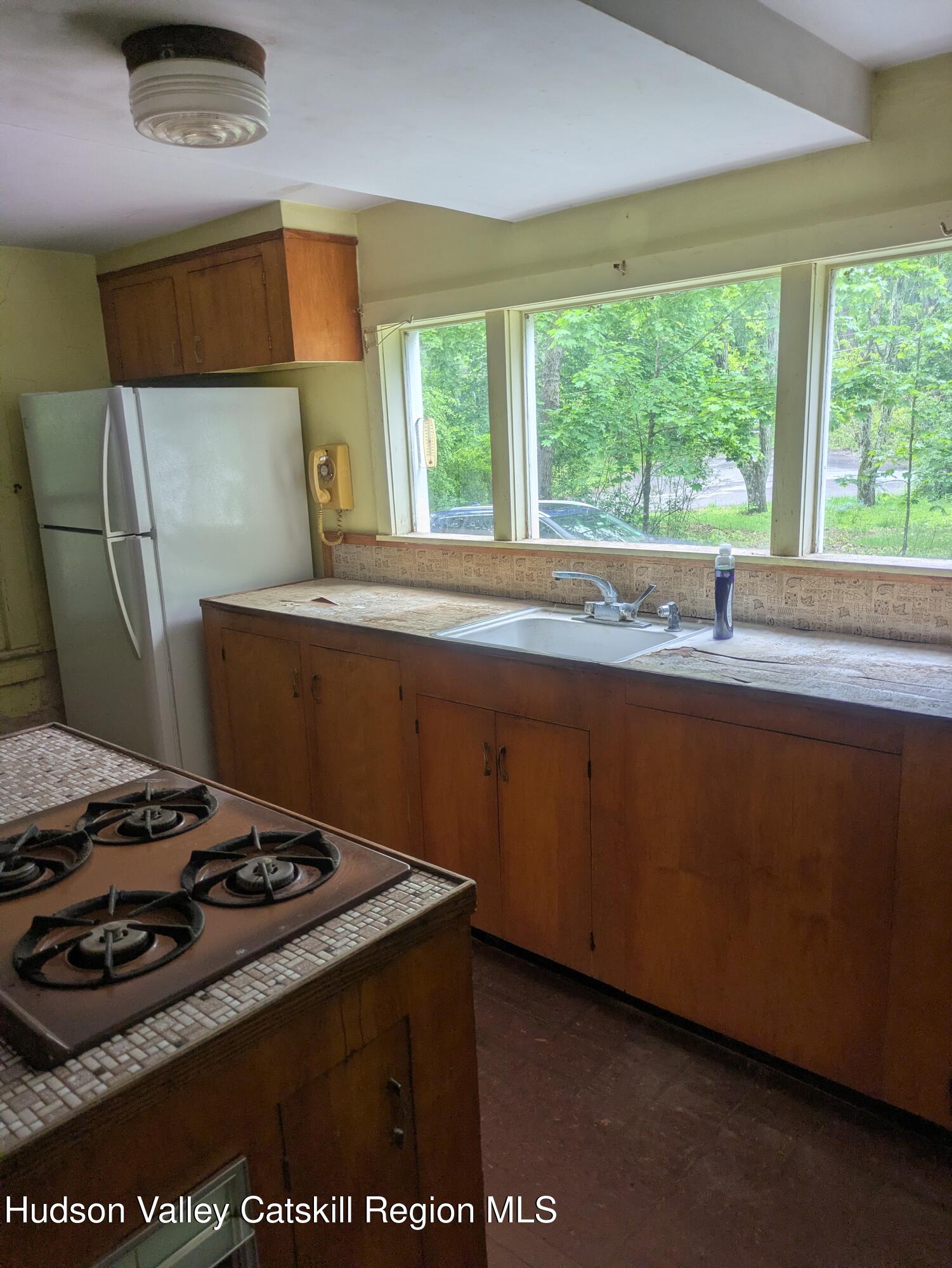 13 Mt Pleasant Road Mount Tremper, NY 12457 - Photo 17 of 36 PXL_20260514_142412468