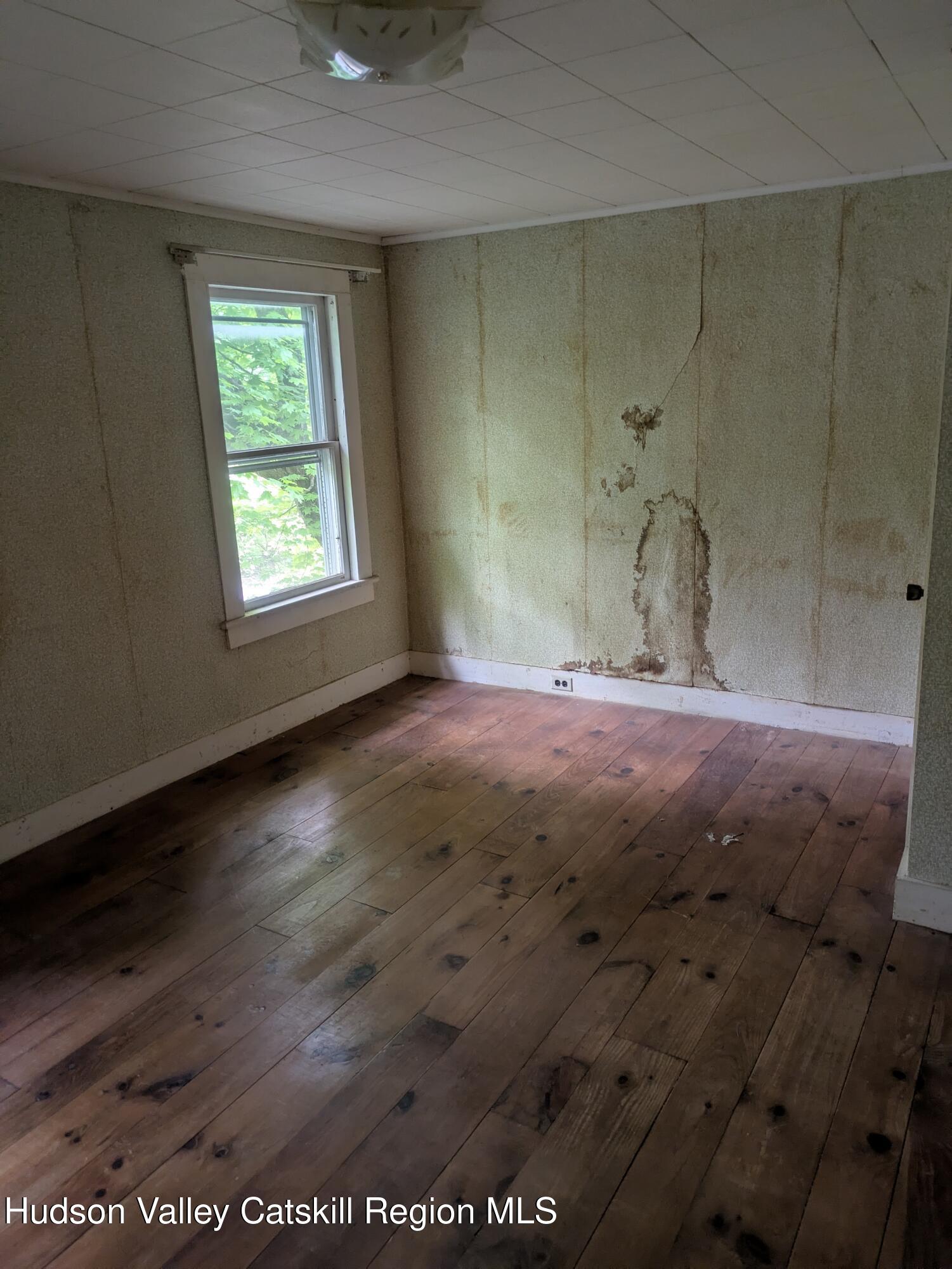 13 Mt Pleasant Road Mount Tremper, NY 12457 - Photo 29 of 36 PXL_20260514_142002987