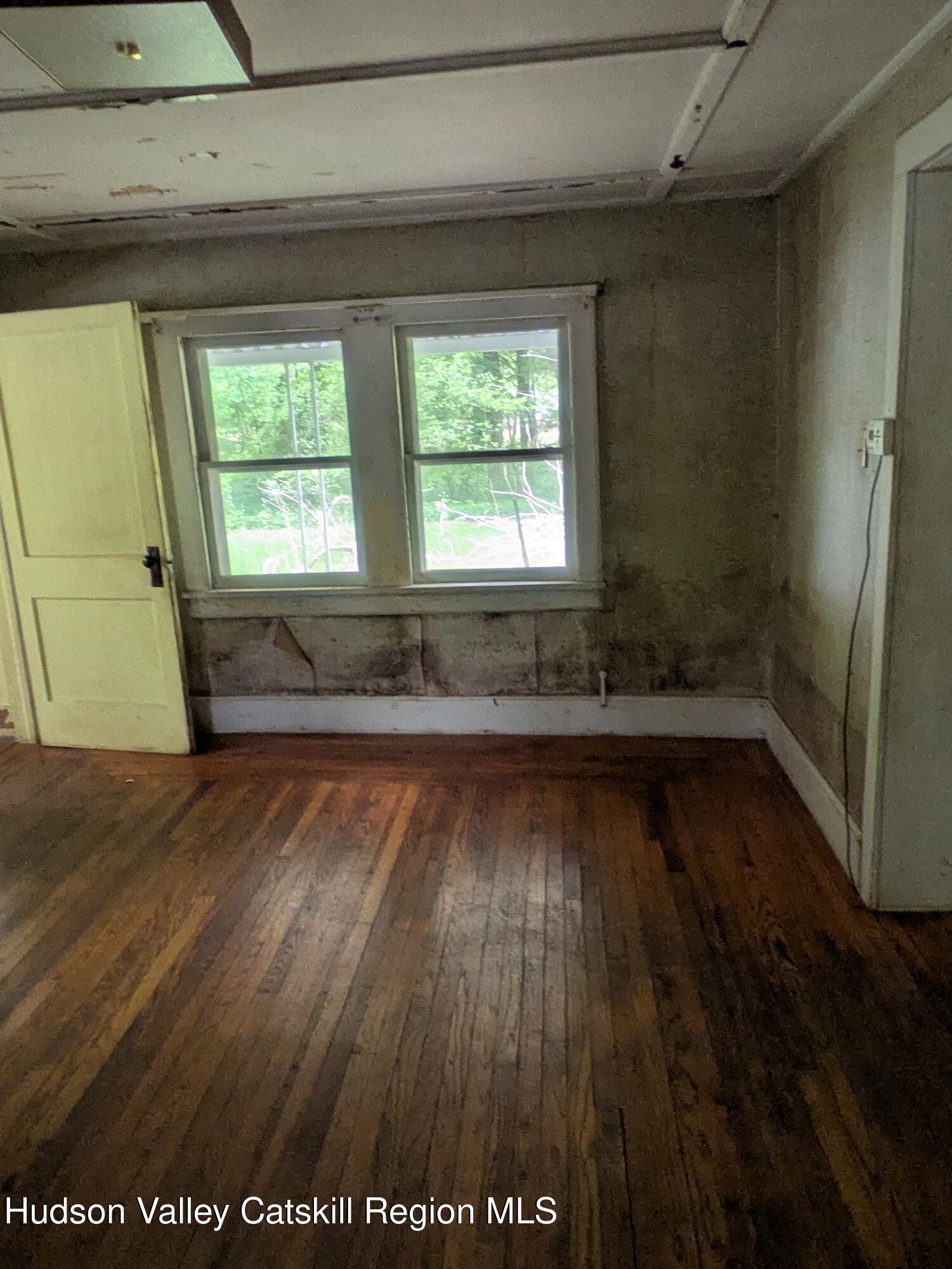 13 Mt Pleasant Road Mount Tremper, NY 12457 - Photo 36 of 36 PXL_20260514_142351439
