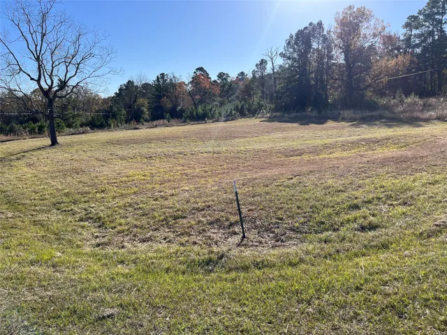 a view of a field with an trees