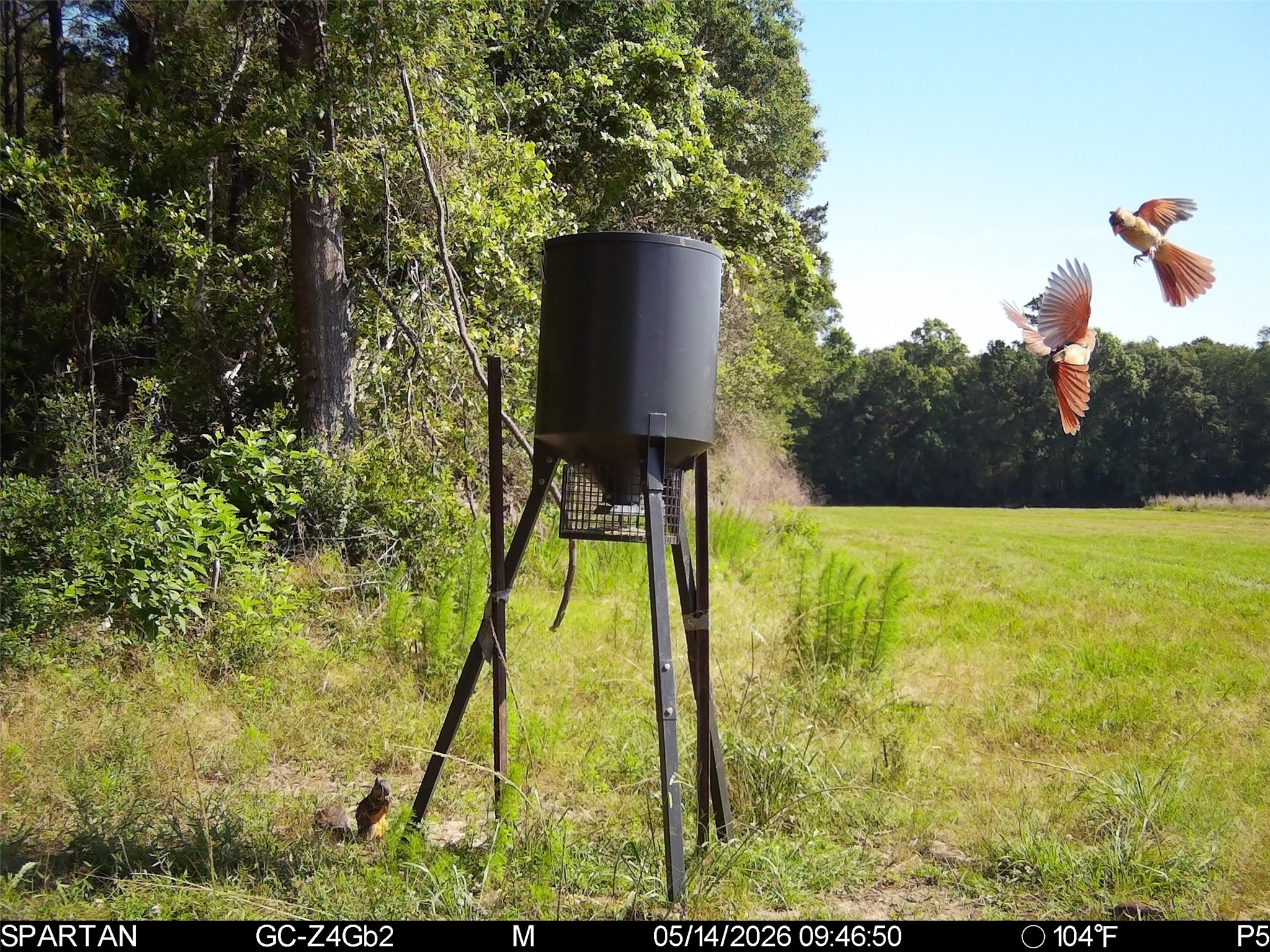0 County Road 547 Call, TX 75933 - Photo 18 of 26