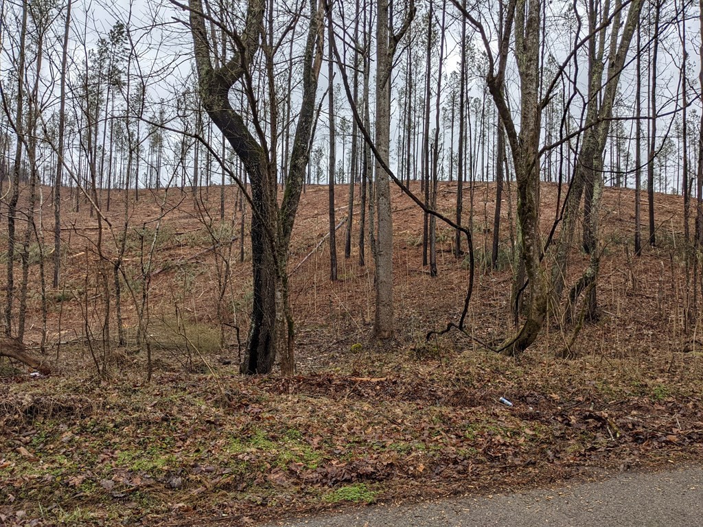 696 Dake Road Decatur, TN 37322 - Photo 10 of 14