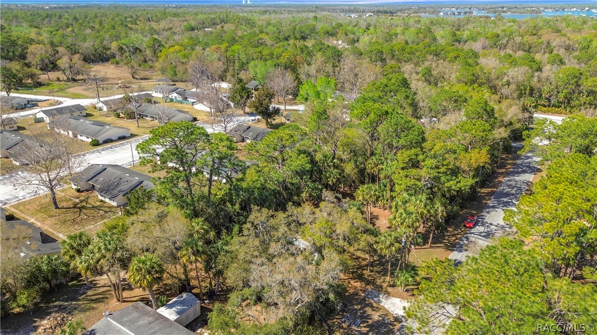 416 North Hourglass Terrace Crystal River, FL 34429 - Photo 8 of 62