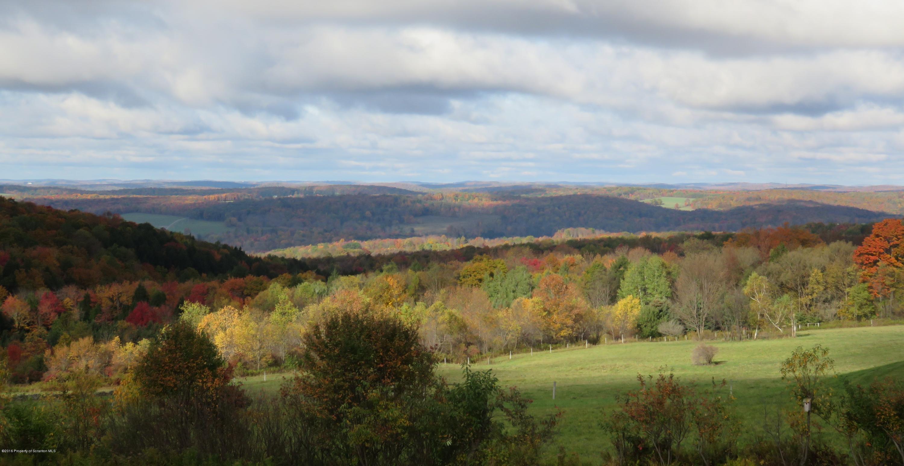 2864 Fiddle Lake Road Thompson, PA 18465 - Photo 27 of 29 Gallery Image 27