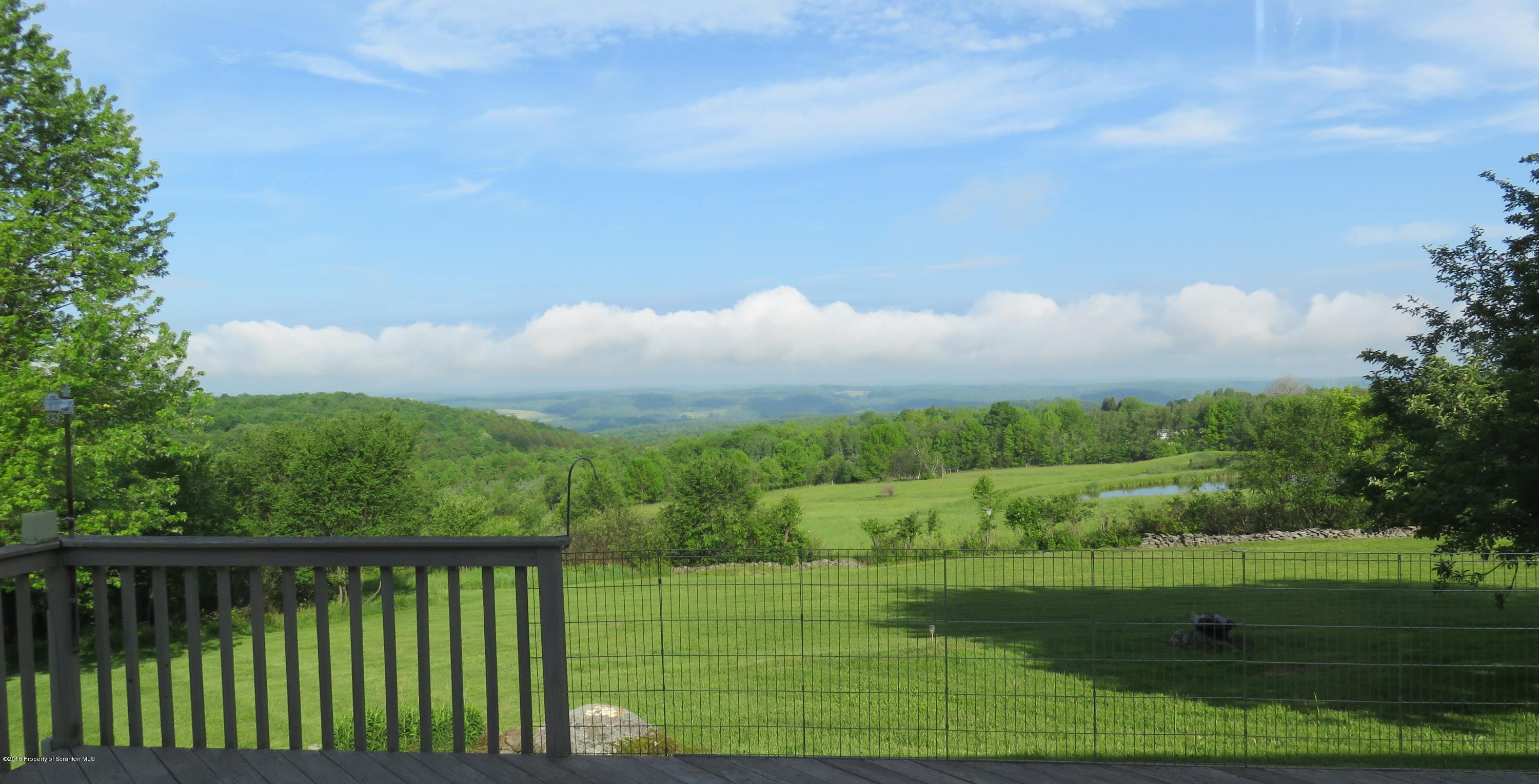 2864 Fiddle Lake Road Thompson, PA 18465 - Photo 3 of 29 Gallery Image 3