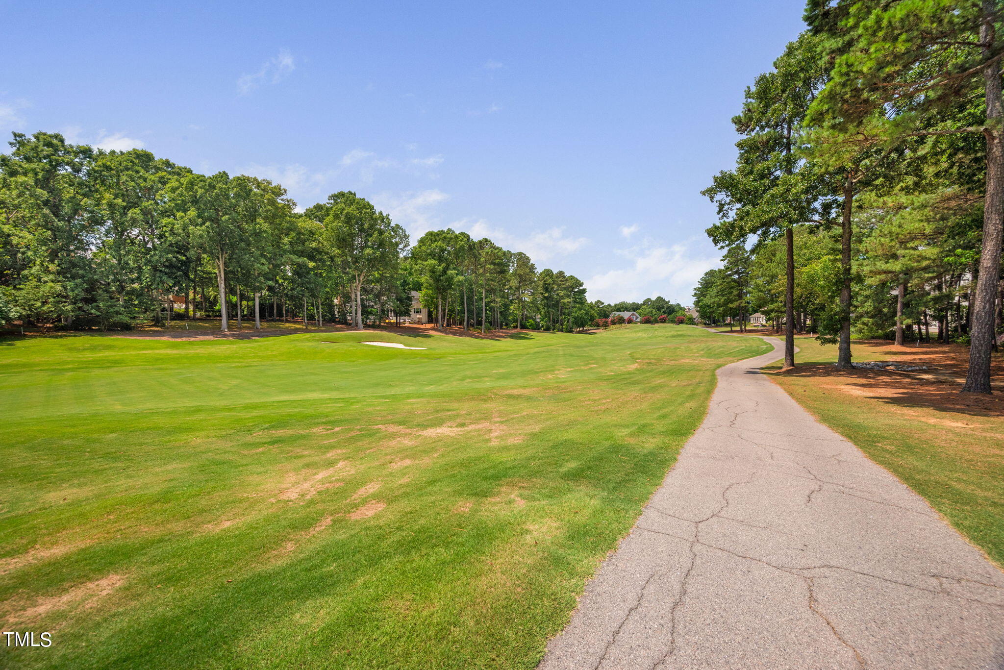 300 Pond Bluff Way Cary, NC 27513 - Photo 60 of 73 a view of yard with swimming pool and green space
