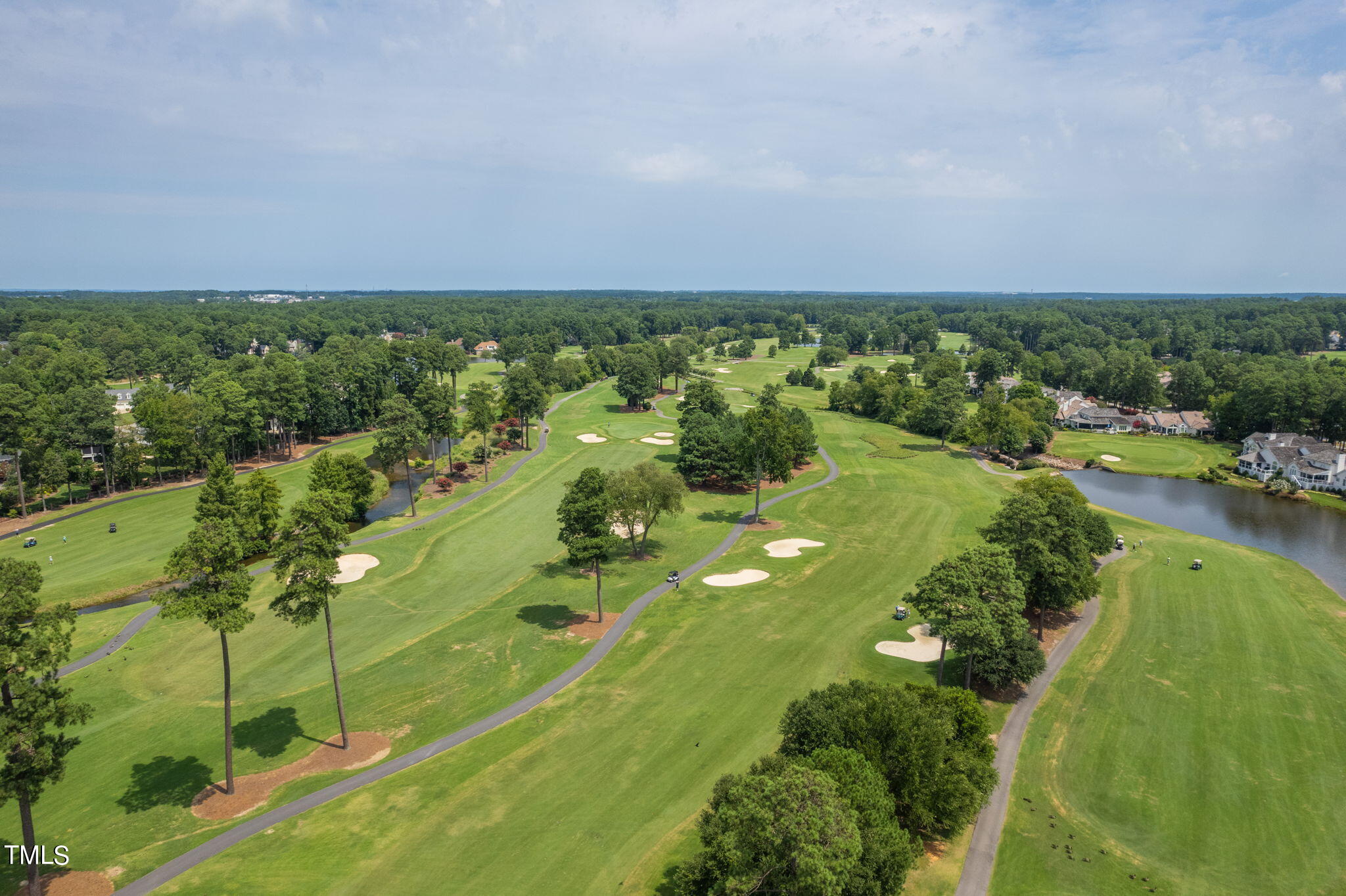 300 Pond Bluff Way Cary, NC 27513 - Photo 73 of 73 56-web-or-mls-DJI_0618