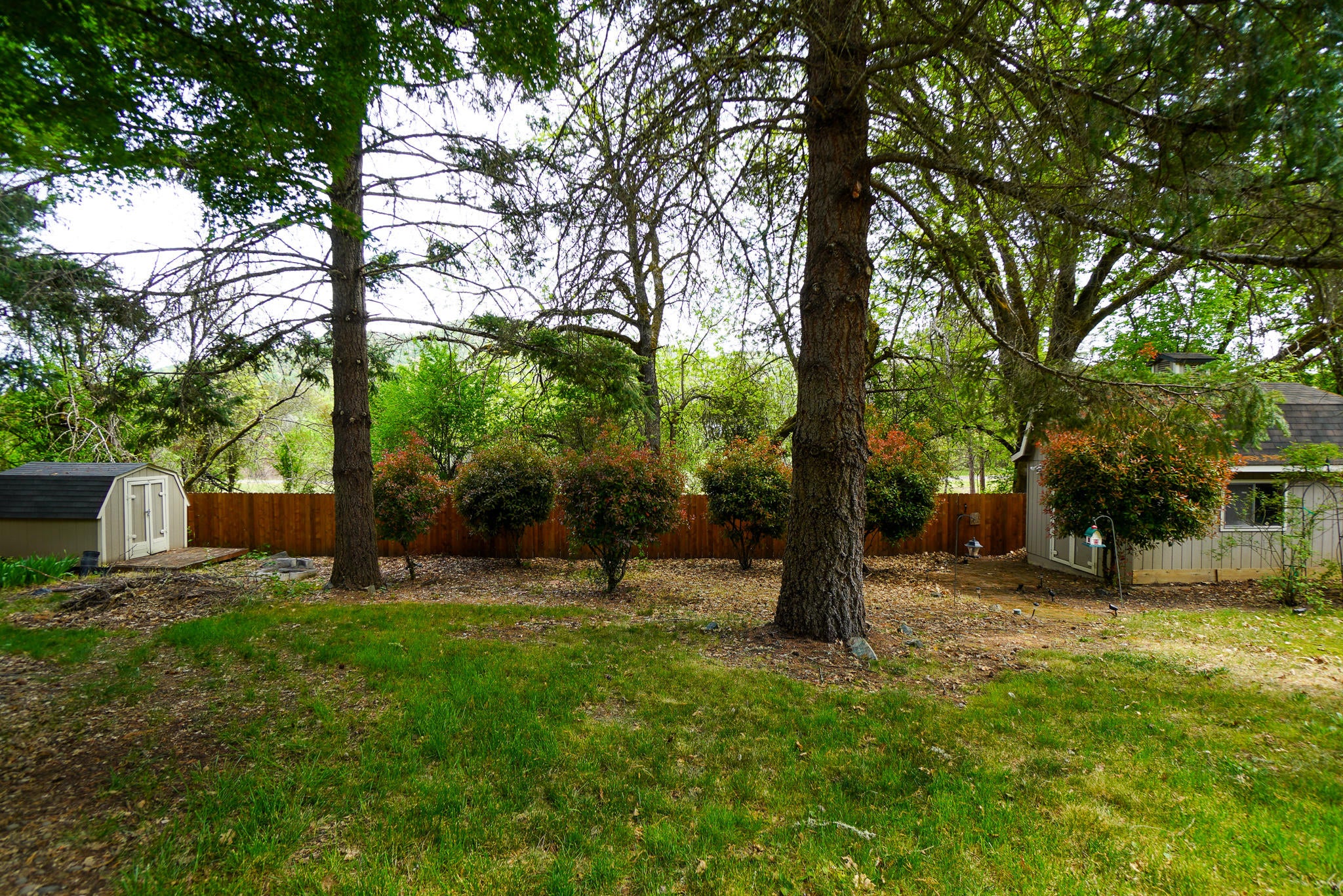 14577 Highway 234 Gold Hill, OR 97525 - Photo 42 of 48 DSC06512