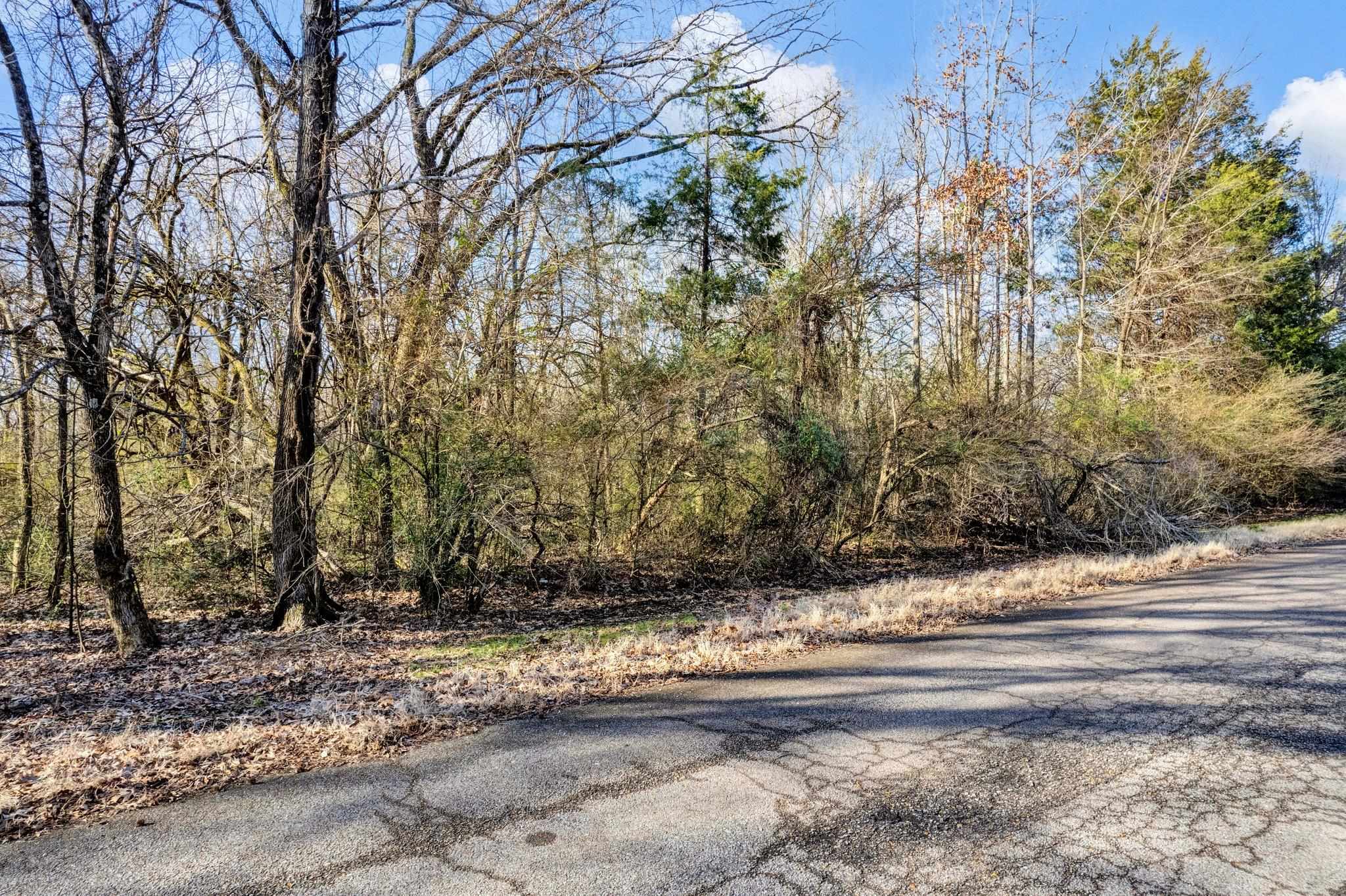 1060 Joann Road Somerville, TN 38068 - Photo 8 of 12 Gallery Image 8