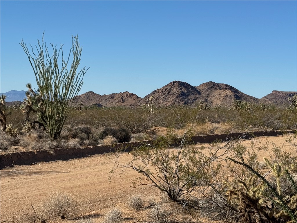242-03-004 South Sundance Kid Road Yucca, AZ 86438 - Photo 2 of 19