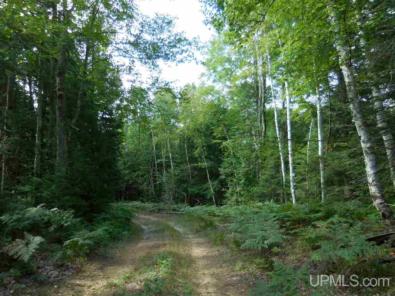 Tbd 60 Acres Off Carlson Road Manistique, MI 49854 - Photo 6 of 8