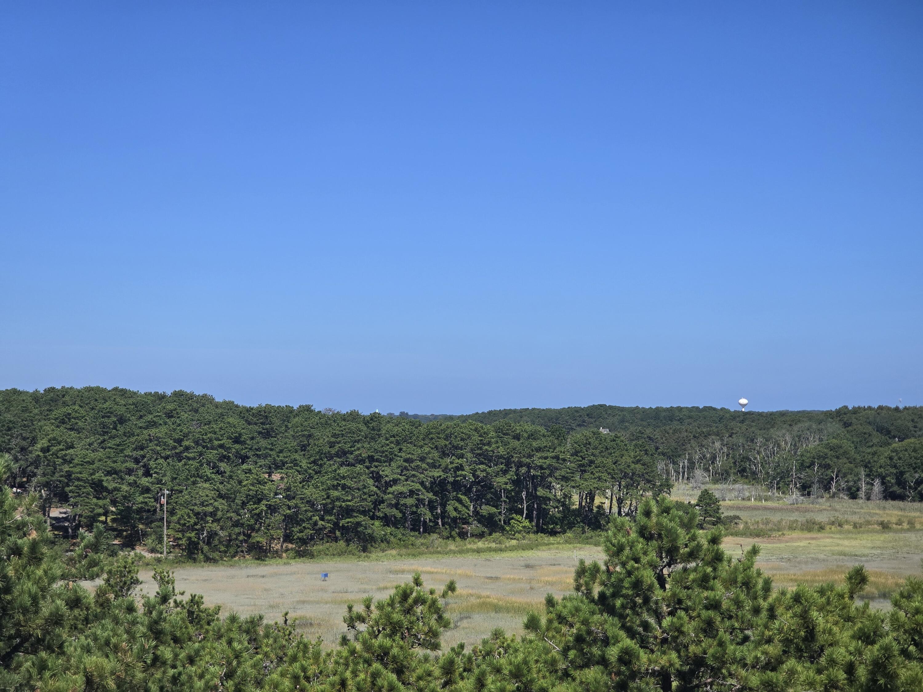 50 Anawan Road Wellfleet, MA 02667 - Photo 78 of 84 The Setting