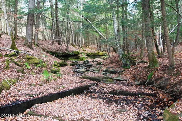 $15,000 | L2 Lawton Hollow Road, Middleburgh, NY 12122