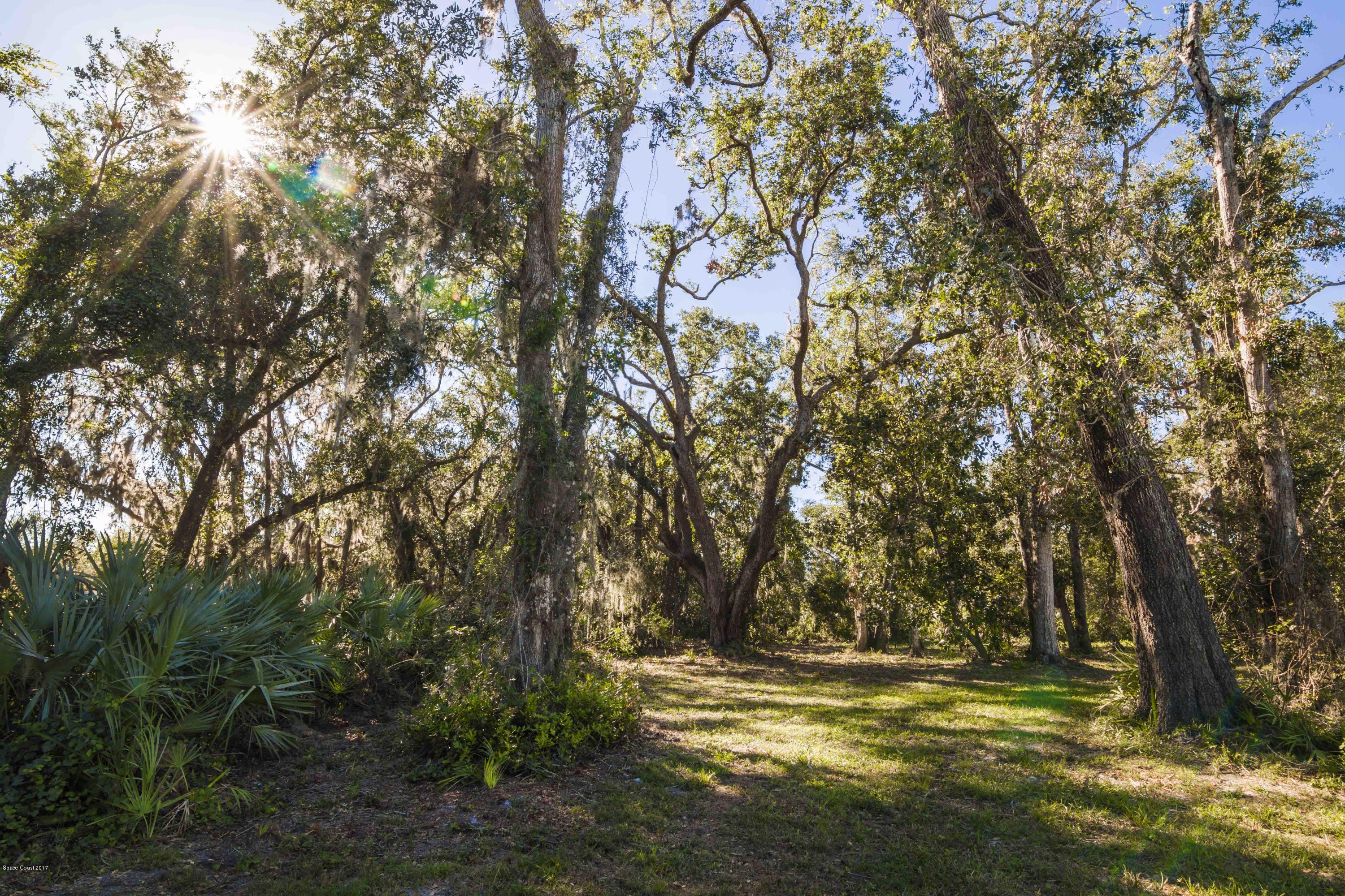 2181 Wherry Road Mims, FL 32754 - Photo 9 of 43 IMG_3166
