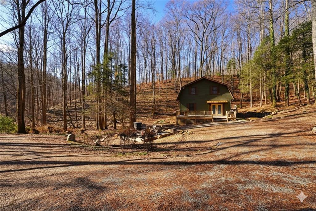 172 Sweetwater Road Cherry Log, GA 30522 - Photo 8 of 26 Gallery Image 8
